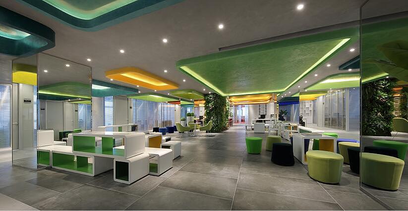 辦公室旺財?shù)牧N風(fēng)水植物